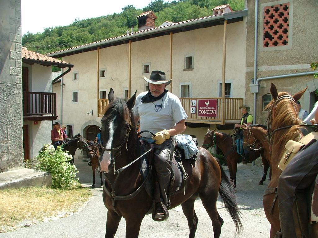 Toncevi Eco Estate Hotel Branik Екстериор снимка